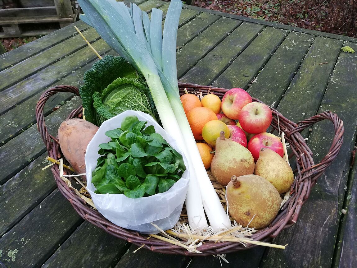 Groenten/fruitpakket