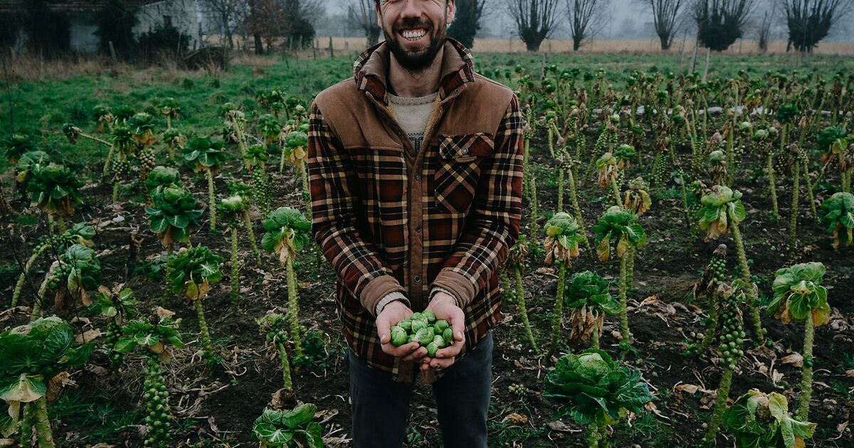 (c) Dezonnekouter.be